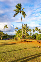 Fototapeta premium The beautiful Pacific island