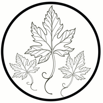 Botanical Vine Leaves in Circle Emblem