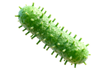 Close-up view of a green bacterium with spiky structures