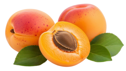 Ripe orange apricots with green leaves and one cut in half fruit food
