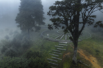 View of a path leading to a circular stone platform amidst lush greenery shrouded in mist, creating an ethereal atmosphere, Royal Botanical Park, Lampelri, Bhutan.