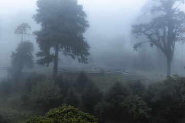 View of misty atmosphere shrouds the dense forest, obscuring the circular structure in the landscape, Thimphu-Punakha Highway, Royal Botanical Park, Lampelri, Bhutan.