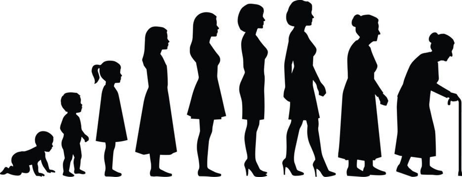 Female life stages silhouettes illustration, girl growing into woman and elderly lady progression concept artwork, age evolution depiction, cad drawing flat vector illustration