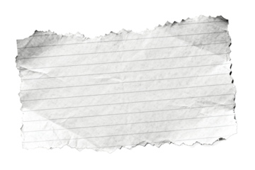 Ripped lined paper sheet with rough edges