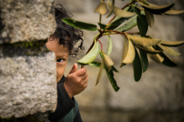 Lampelri, Bhutan - 18 September 2025: View of a child's curious eye peeking from behind a stone wall, framed by the soft green leaves of a nearby plant, creating a moment of quiet observation.