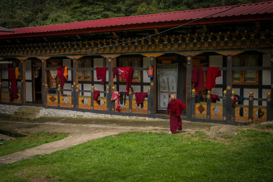 Chendebji, Bhutan - 21 September 2025: View of a lone monk walking across vibrant green grass towards the traditional Bhutanese architecture of Chendebji Chorten Stupa.