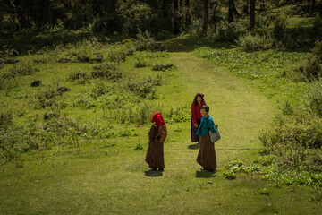 Nubding, Bhutan - 21 September 2025: View of three women in traditional attire stroll through the Phobjikha Valley's vibrant green meadows, under a soft, diffused light.