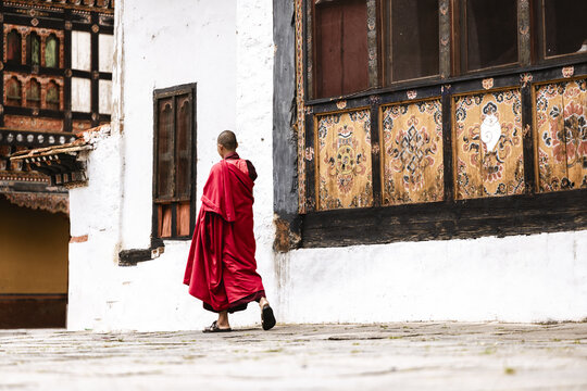 Paro, Bhutan - 17 September 2025: View of a solitary monk in vibrant red robes walking near the white walls and detailed wooden architecture of Rinpung Dzong.