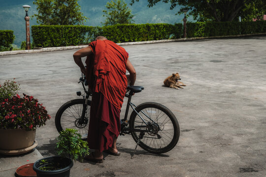 Walakha, Bhutan - 19 September 2025: View of a monk in vibrant red robes pauses beside his bicycle, a serene dog resting nearby against the backdrop of Sangchhen Dorji Lhuendrup Lhakhang Nunnery.