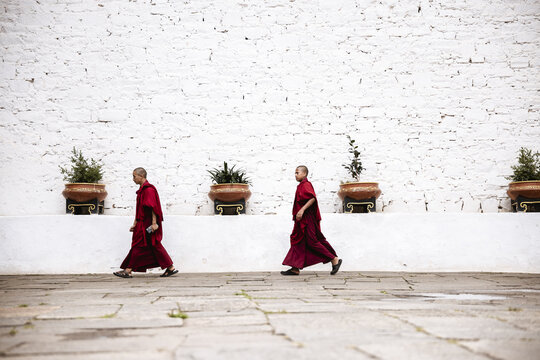 Paro, Bhutan - 17 September 2025: View of two monks in vibrant maroon robes walking past the stark white walls of Rinpung Dzong, punctuated by potted greenery.