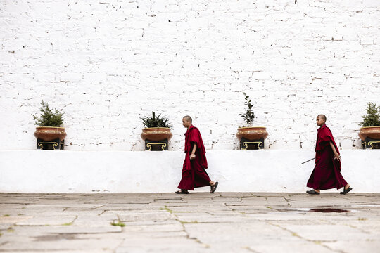 Paro, Bhutan - 17 September 2025: View of monks in deep maroon robes stride purposefully along the stone path, a stark contrast against the textured white wall of Rinpung Dzong.