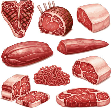Create a kinds of deferent realistic Meat beef vector art with white background..
