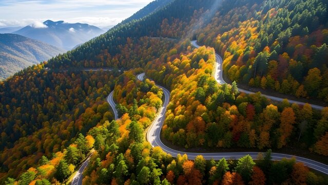 An aerial view of a winding forest road curving up a mountainside. - Powered by Adobe