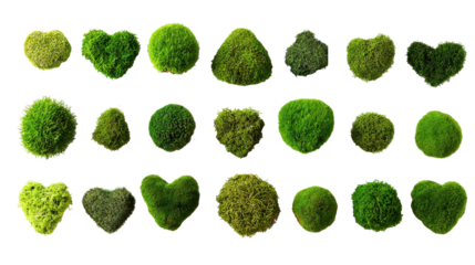 Assorted green moss elements arranged in various organic and heart shapes, showcasing natural textures and shades of green on a transparent background, perfect for eco friendly design projects