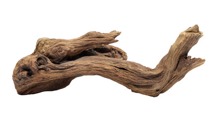 Weathered driftwood piece presenting an aged and textured surface. Depicting natural processes of erosion and decay. Isolated on a transparent background