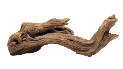 Weathered driftwood piece presenting an aged and textured surface. Depicting natural processes of erosion and decay. Isolated on a transparent background