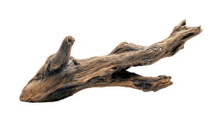 Weathered driftwood root displaying intricate patterns, a natural organic element for aquariums or terrariums, providing texture and an aged aesthetic on a transparent background