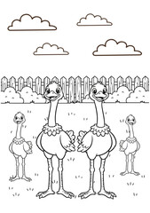 An ostrich family