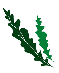 Green silhouette of two arugula leaves with white stem detail. Healthy food, cooking, and ingredient concept. Vector illustration isolated on white