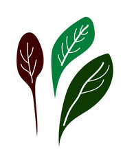 Three green and burgundy leaves, simple design for nature and healthy food concept. Minimalist abstract icon for organic product, vegan lifestyle. Vector illustration