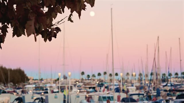 Wide shot of a busy marina filled with boats and masts at pastel sunset, with autumn leaves in the corner and a full moon rising above the horizon
