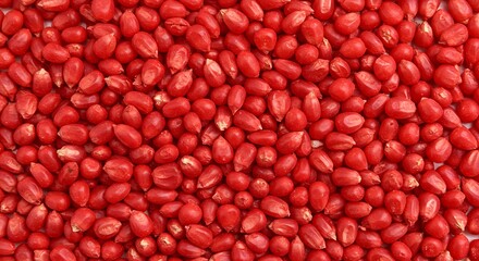 Vibrant Red Corn Kernels A Close Up View of Treated Seeds for Planting and Agriculture.