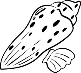 sketch Hand Drawn Seashells