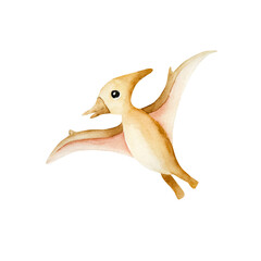 Cute dinosaur. Watercolor hand drawn prehistoric pterodactyl animal. Isolated illustration on transparent background. Perfect for for nursery and baby shower, tropical design projects. For designers © Natalia