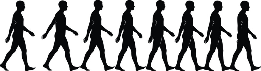Silhouette walking man sequence showing body movement, human motion cycle illustration, step-by-step animation frames, black figure walking pose collection isolated on white background