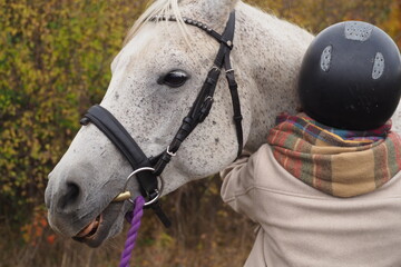 Głowa pięknego szarego konia © vofchok