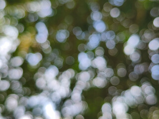 Obraz premium Dark Green and White Bokeh Background