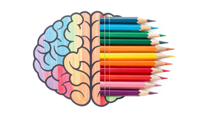 Creative Brain with Colorful Pencils – Art, Education and Imagination Concept