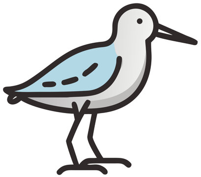 sandpiper