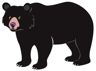 bear vector illustration