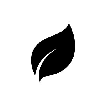 Stylized black leaf silhouette with a single white vein against a white background, representing nature and growth. isolated on transparent background