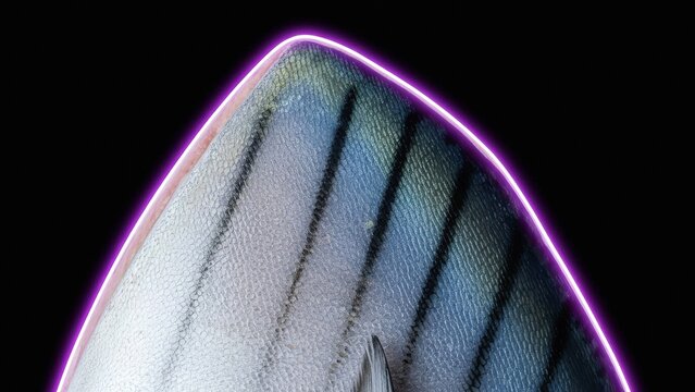 Iridescent Mackerel Scales Highlighted by a Vibrant Neon Purple - Powered by Adobe