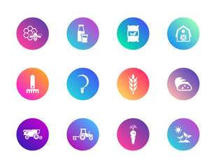 Agriculture, farming, food. Vector set of 12 round gradient icons featuring crops, tools, dairy, bread, vegetables, and eco symbols for sustainable farming and food production design.