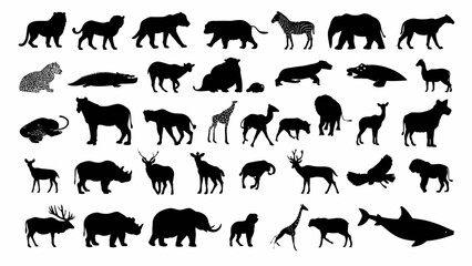 Fototapeta premium A comprehensive collection of diverse animal silhouettes, showcasing a wide variety of species from different habitats.