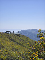 Fototapeta premium Serene mountain viewpoint landscape with people on deck enjoying peaceful scenic view. beautiful travel destination in nature with clear blue sky and yellow flower