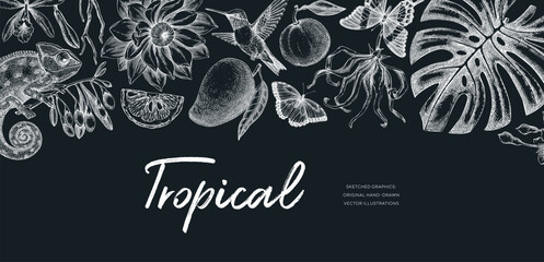 Tropical background in sketch style. Summer banner.  Palm leaves, tropical flower, exotic animal hand drawn vector illustration.  Not AI generated 