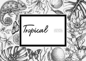 Tropical frame design in sketch style. Summer background. Palm leaves, tropical flower, exotic animal hand drawn vector illustration. Not AI generated 