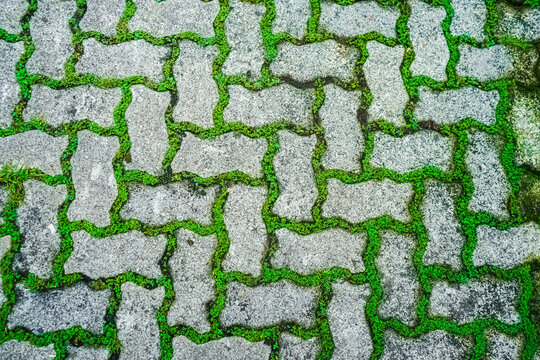 Close-up overhead of gray interlocking pavers with bright green grass