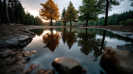 A serene image of autumn trees mirrored perfectly in a tranquil pond, evoking peacefulness, harmony with nature, and the simple beauty of reflections in the quiet forest.