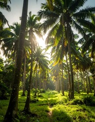 Sun-drenched palm grove