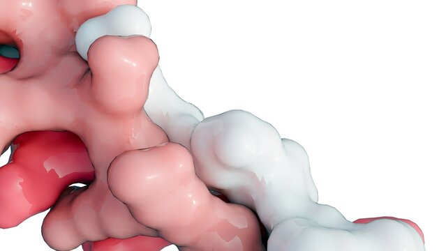 A highly magnified 3D rendering of the collagen structure, highlighting its fundamental units: triple-helix subunits that assemble to form strong fibrils and fibers.