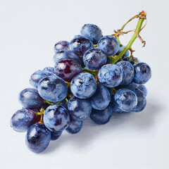 Blue Black Wine Grapes Bunch with Stem Isolated - Premium Fresh Fruit Stock Photo