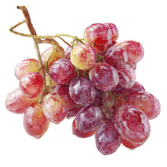 Fresh Red Wine Grapes Bunch Isolated on White Background - High Quality Stock Photography