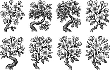 Hand drawn floral art: variety of ornamental blossom tree designs