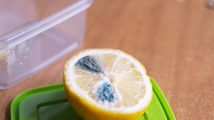 A lemon with green mold on the kitchen counter. A spoiled lemon.