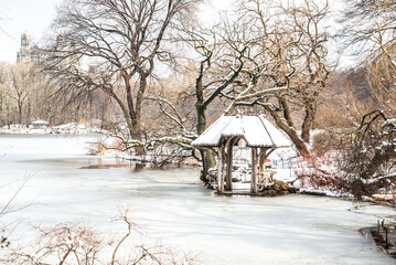 winter in the park